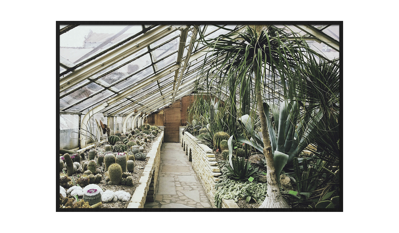 Botanical stories 013 148x98