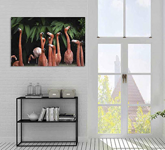 Bright wings 002 148x98