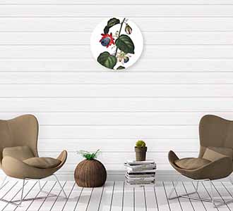 Bright wings 029 70x70