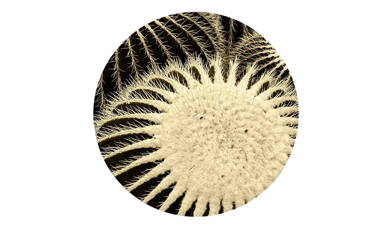 Art of nature 020 70x70