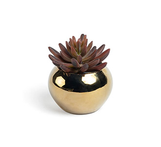 Kunstplant sedum lucidum in goudkleur keramische pot