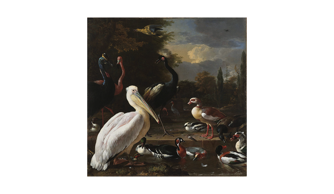 Dutch masters 006 74x74