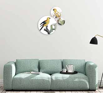 Bright wings 027 pmr