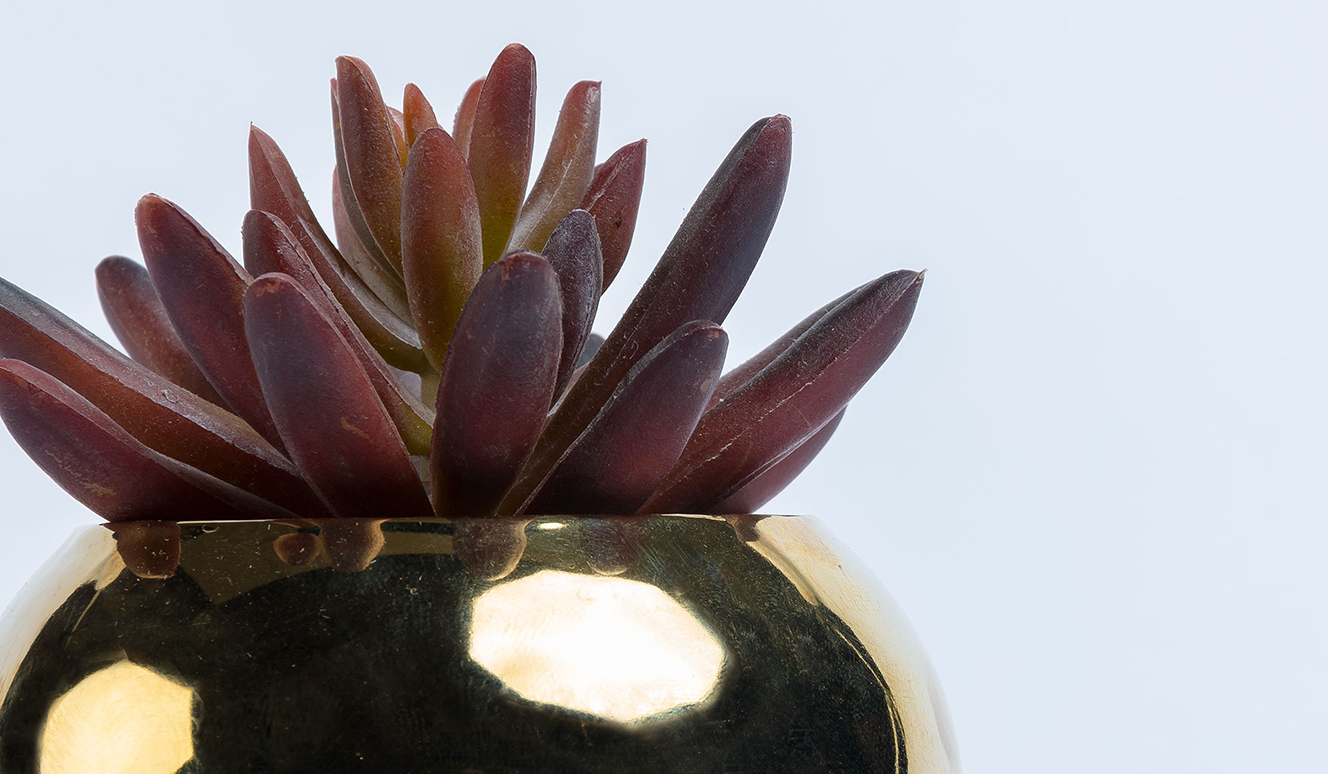 Kunstplant sedum lucidum in goudkleur keramische pot