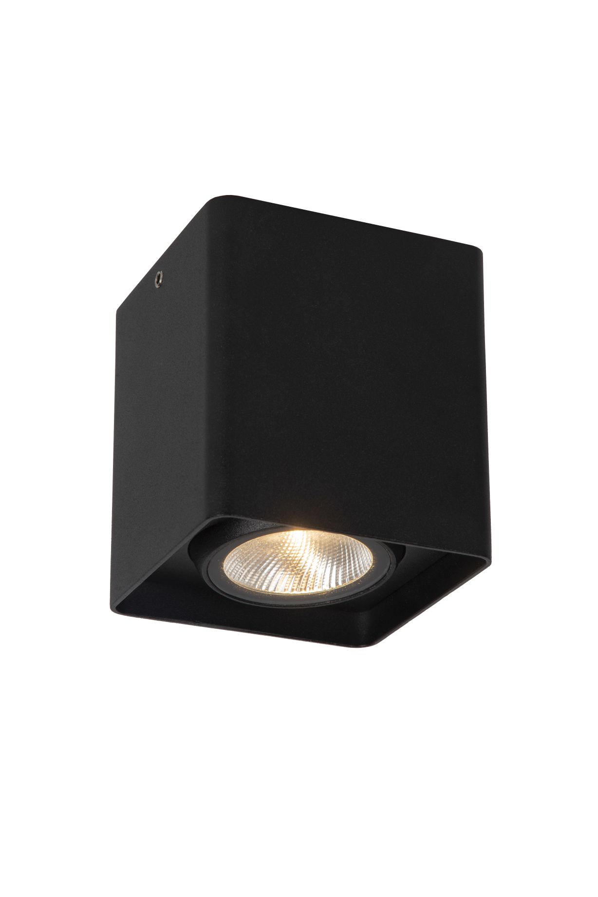 Lucide LEEDS - Plafonnière Buiten - LED - 1x9W 2700K - IP54 - Zwart