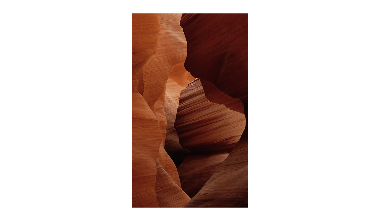 Art of nature 007 70x118