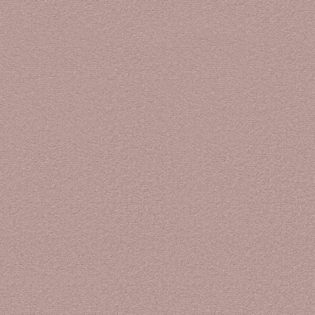 Ambiant Orlando babyroze 1120