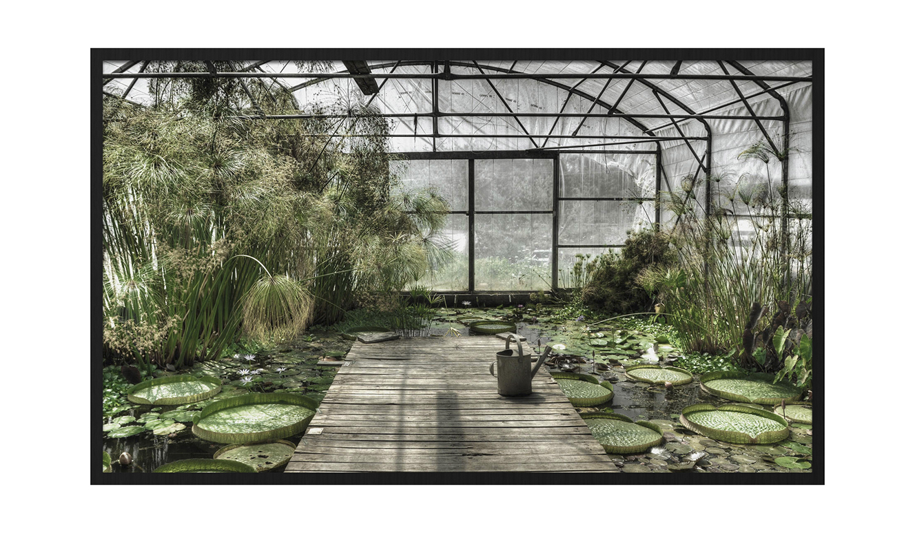 Botanical stories 014 118x70